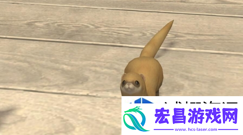 活动奖励获取指南