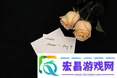 91精品国产张津瑜