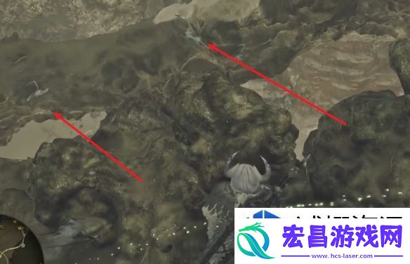 怪物猎人荒野陆萤虾在哪
