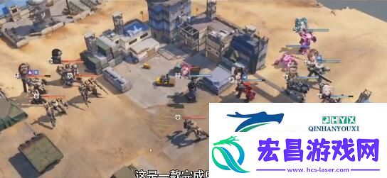 钢岚虹培养建议
