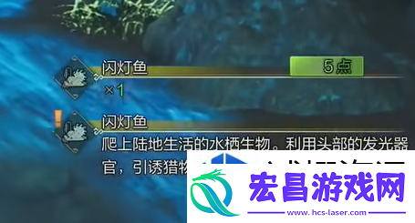 角色成长全面指南