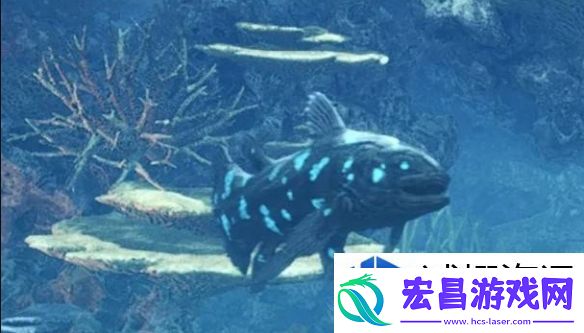怪物猎人荒野化石腔棘鱼怎么钓