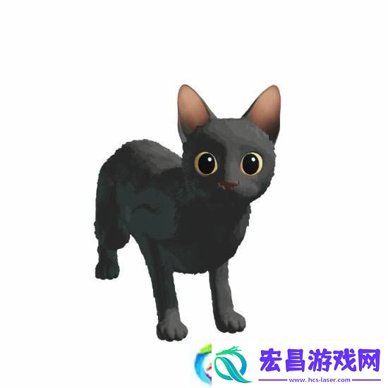 猫猫的奇幻漂流导演应中国粉丝要求