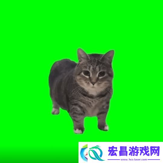 猫猫的奇幻漂流导演应中国粉丝要求