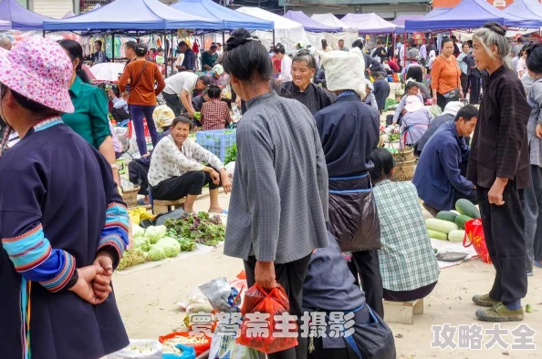 抓大鹅蔬菜第二关太难了