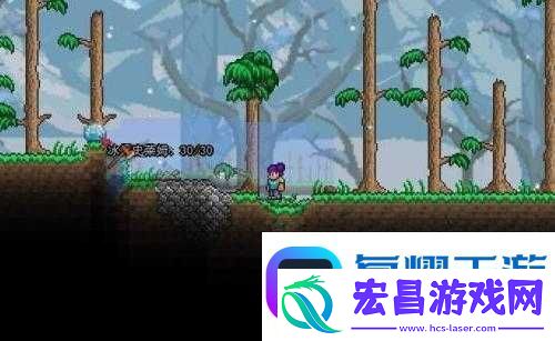 泰拉瑞亚珍珠获取大揭秘