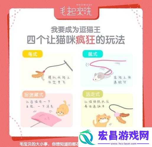 灵猫传逗猫棒使用秘籍大揭秘