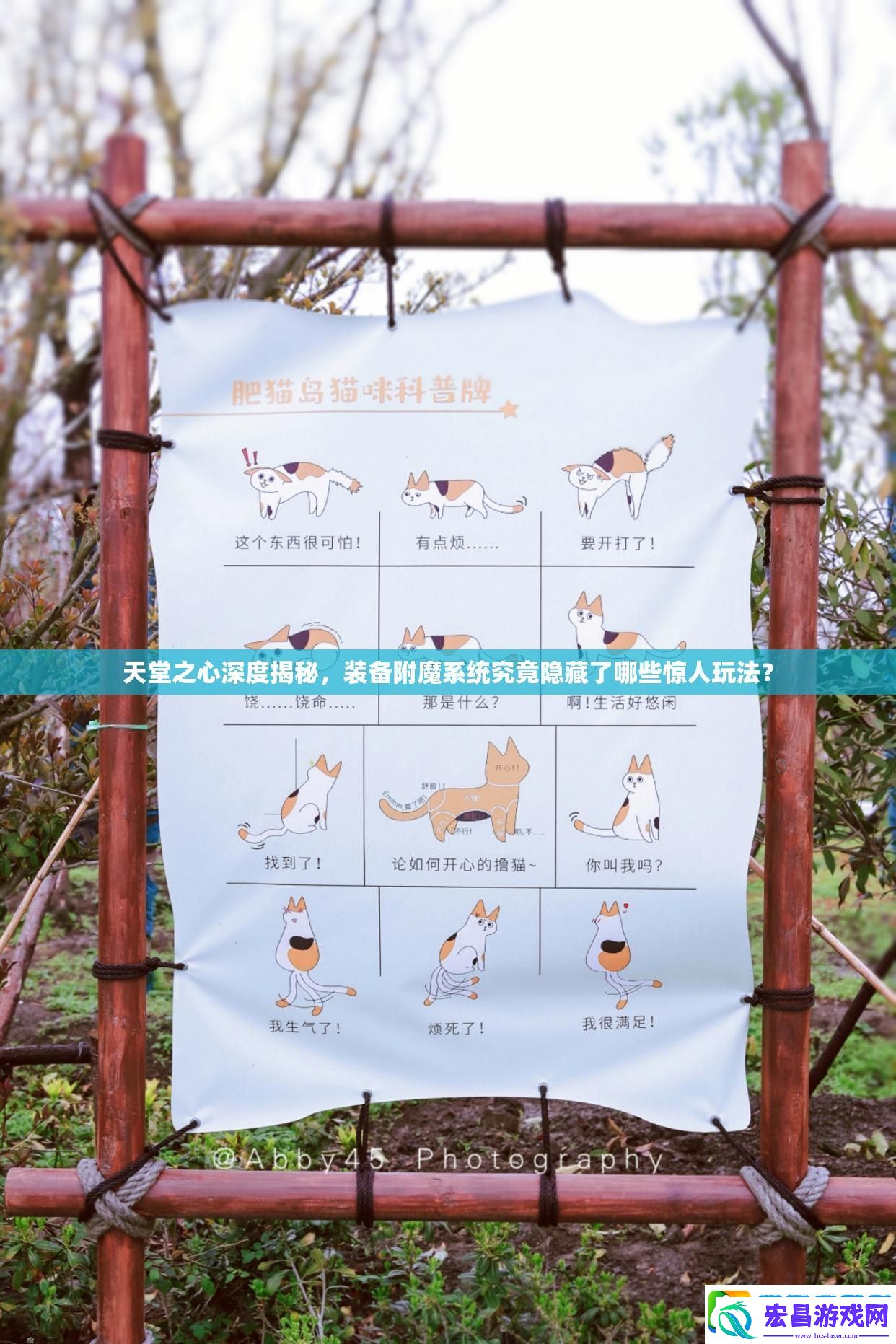 天堂之心深度揭秘