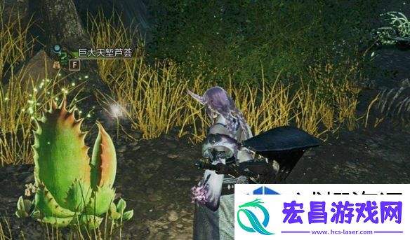 挑战新境界
