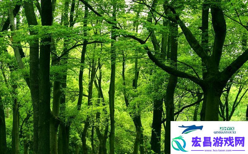 成语宫廷记第383关答案
