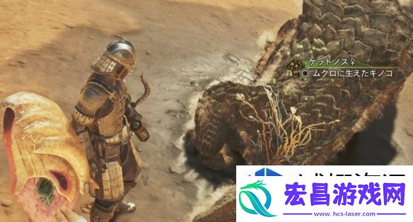 成长日志见证历程