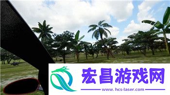 荒野之息武器损坏是败笔