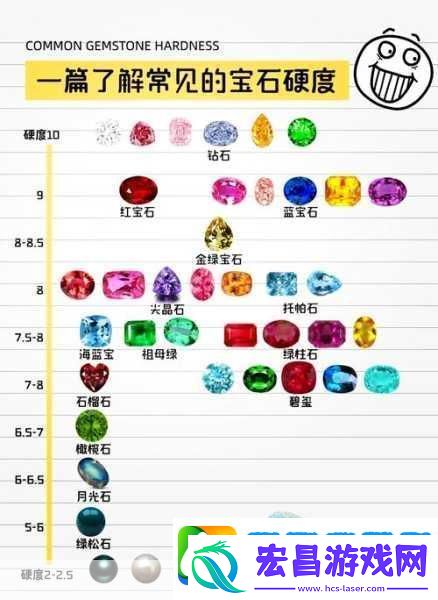 宝藏世界深度探索