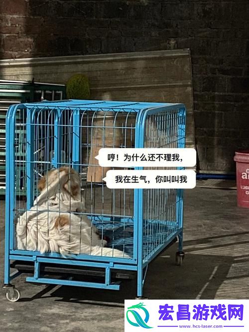 深入探讨老牛嫩草与精二的区别