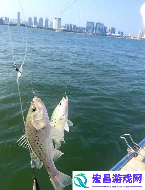 珊瑚岛巨型海鲈鱼在哪钓