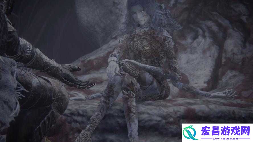 水母支线剧情攻略与隐藏彩蛋解析