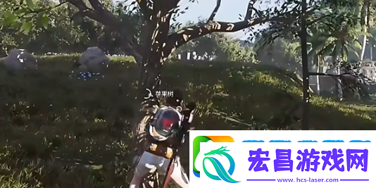 七日世界苹果如何收集