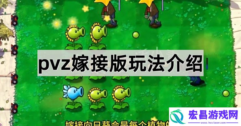 pvz嫁接版玩法介绍