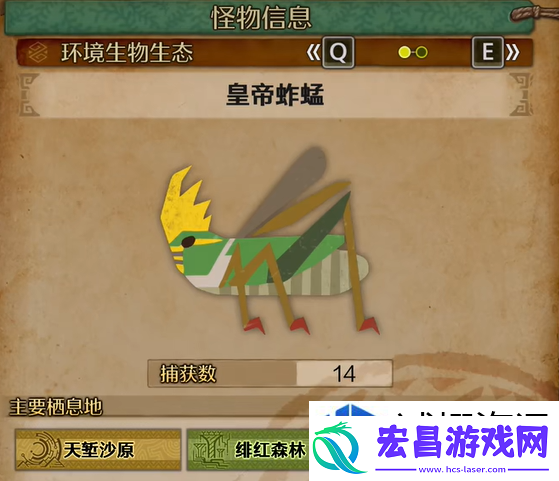 打造专属角色秘籍