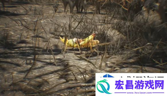 打造专属角色秘籍