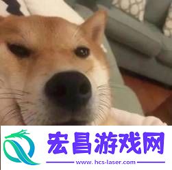 只因太像cs的天才少年