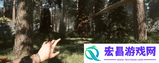 黑森林迷踪游戏下载网址介绍