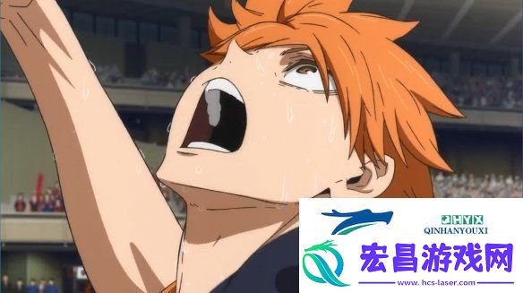 排球少年！！VS
