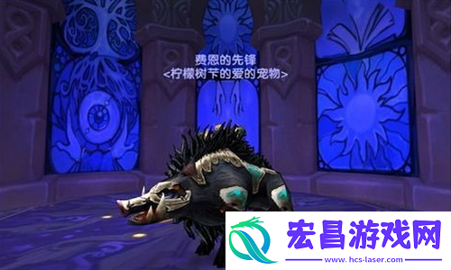 海底生物的狂欢