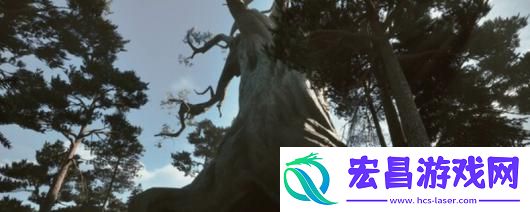 黑森林迷踪游戏特色内容介绍