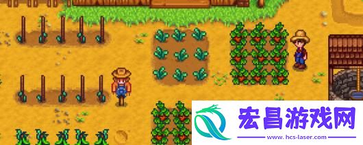 星露谷物语钻石获得方法介绍