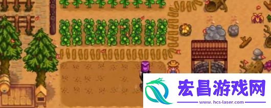 星露谷物语哈维的诊所具体作用介绍