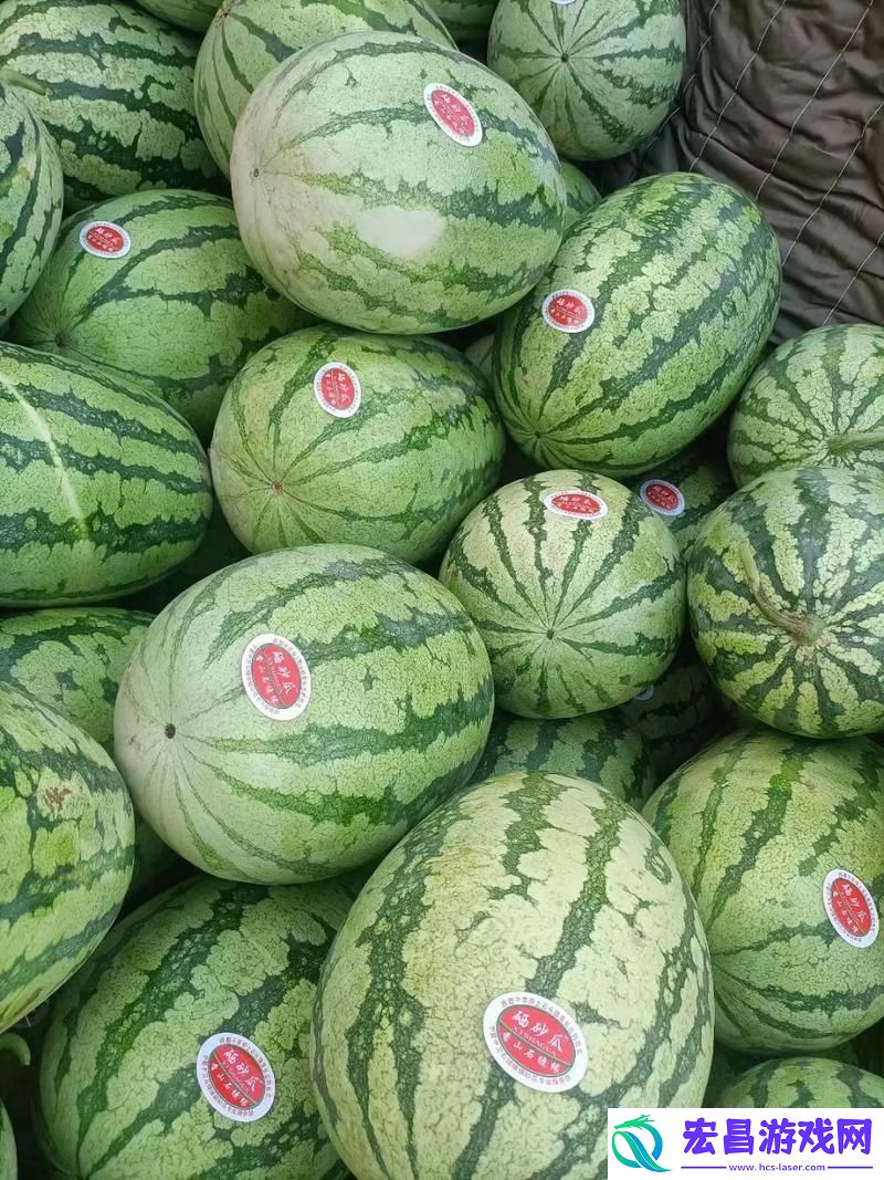 “51每日必吃大瓜