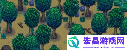星露谷物语海盗妻子任务攻略分享