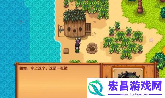 星露谷物语海盗妻子任务攻略分享