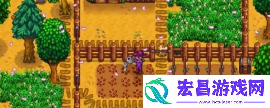 星露谷物语春季沙漠节特点介绍