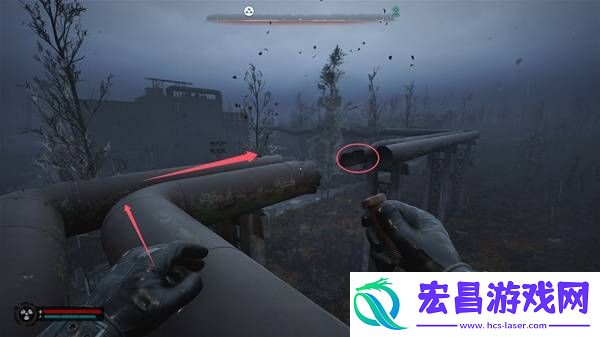 向导的储藏点在哪