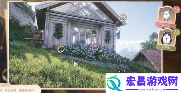 无限暖暖照片调查动物的踪迹任务攻略