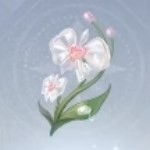 无限暖暖雨滴蝶兰在哪