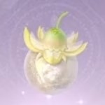 无限暖暖日光果在哪