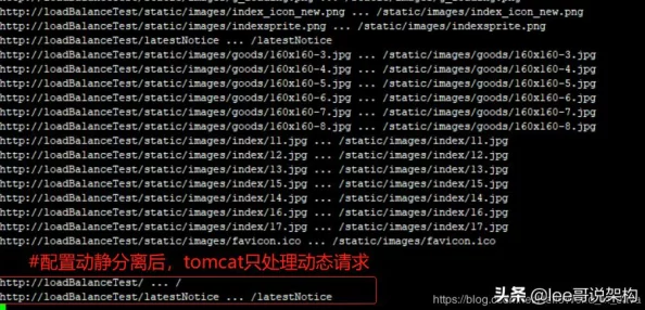 Nginx与Tomcat联合部署