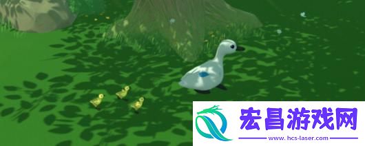 鸭鸭乐园游戏官网地址介绍