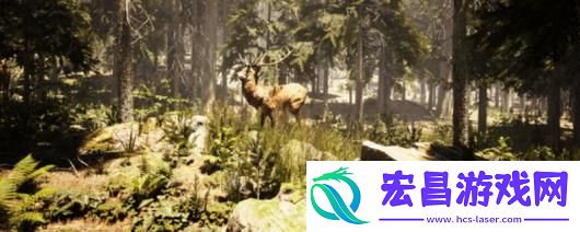 摄影模拟器游戏配置要求介绍