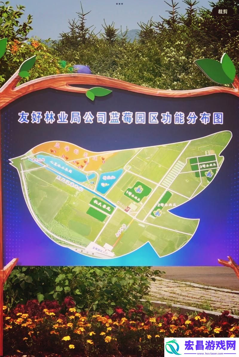 探索美丽转变