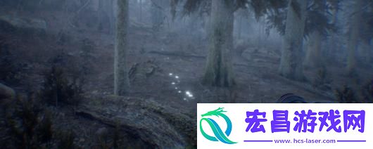 摄影模拟器游戏游玩平台介绍