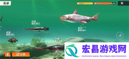 永久有效兑换码领取分享
