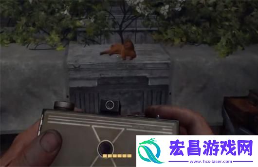 夺宝奇兵