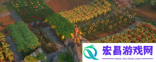 露玛岛蓝莓具体特点介绍