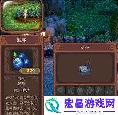 露玛岛蓝莓具体特点介绍