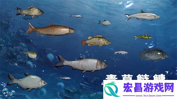 天天钓鱼钓龙技巧分享