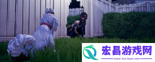 邻居